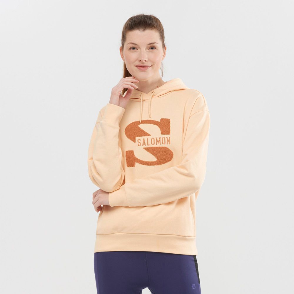 Sweats Salomon Femme Beige - Salomon OUTLIFE LOGO SUMMER - France (7286-HBQFE)